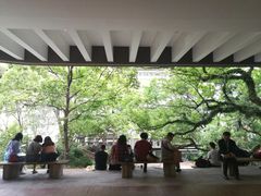 -香港大学