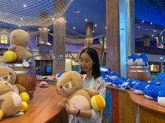 -三亚海昌梦幻海洋不夜城