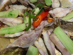 舌尖上的多宝鱼-新兴·金羊座·粤菜点心(乐峰店)