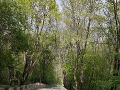 -玉泉威虎山森林公园