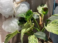 -MUJI无印良品(万象城店)