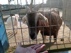 -武汉紫薇都市田园