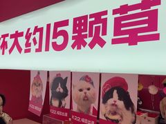 -K22.酸奶草莓(烟台芝罘店)