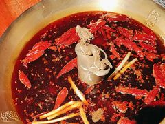 -小龙翻大江文化火锅(宽窄店)