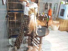 -悠尼宠物·独立低压伊珊娜洗护·美容·寄养(兰谷路店)