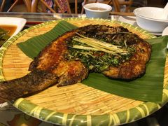 香茅草烤鱼-呐咪傣园·云南菜(石厦店)