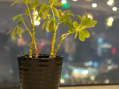 -金时代顺风大酒店(兰生大厦店)