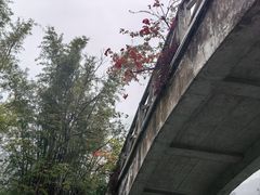 -明仕田园
