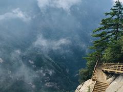 -陕西省红河谷森林公园