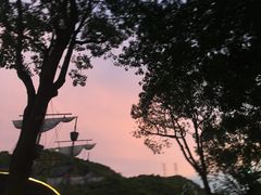 -温州乐园