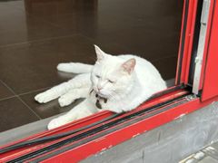 -府学·秋果S酒店(北京南锣鼓巷四合院店)