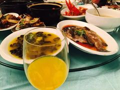 -绍兴中金豪庭大酒店