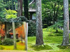 -三千院