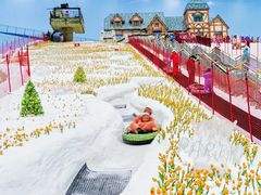 -广州热雪奇迹