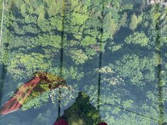 -丹山赤水风景名胜区