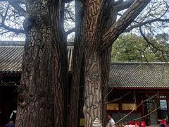 -红螺寺