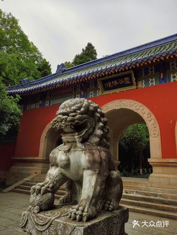钟山风景区中最幽静的景点，人少景美，每次去感觉都很好