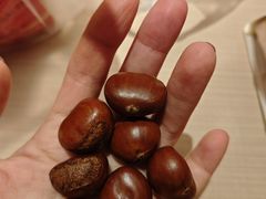 -小宝栗子(嘉华国际商业中心店)