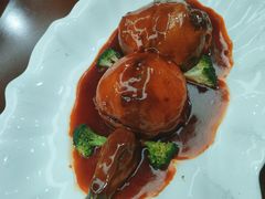 -丁老爷子苏香圆