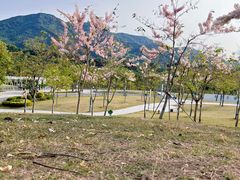 -白石龙音乐公园