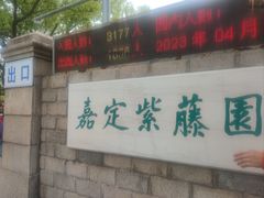 -嘉定紫藤园