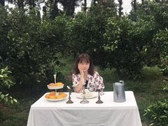 -柑橘农场