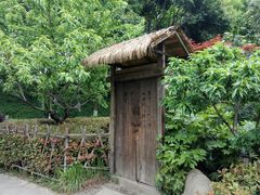 -圩墩遗址公园