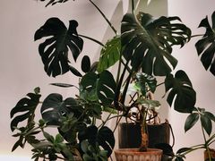 -fishtank鱼缸咖啡(三山街店)