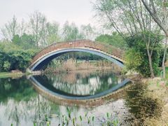 -洋湖国家湿地公园