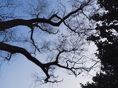 -共青国家森林公园-南大门停车场