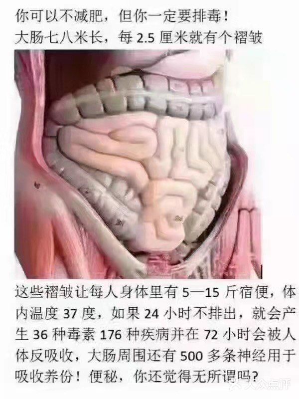 动静界凤凰店———肝胆排毒