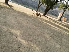 -苏州上方山国家森林公园