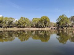 -万泉公园