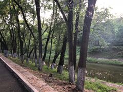 -黛秀湖公园