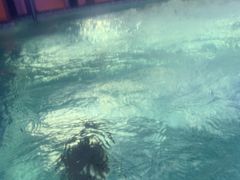 -浅深(世茂滨江精品店)