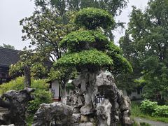 -水绘园