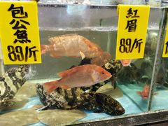 -九號渔港·蒸汽海鲜·粤菜茶点(八卦岭店)
