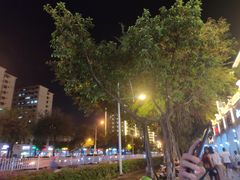 -大苹果面包生日蛋糕(明珠店)