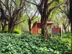 -佛山祈福仙湖酒店