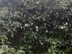 -明故宫遗址公园