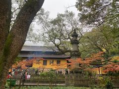 -普陀山风景名胜区-法雨禅寺