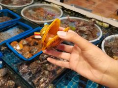 -开禾52阿伟海鲜加工