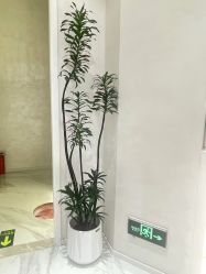 -和颜一美轻医美连锁