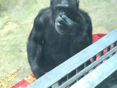 -鄂尔多斯野生动物园