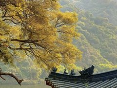 -飞霞风景名胜区