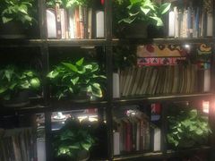 -寂寞的豆芽(龙泽路店)