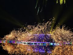 -北京世界公园
