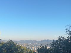 -原山国家森林公园