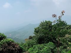 -广州市石门国家森林公园