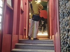 -思南书局(复兴中路店)